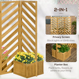 Backyard Privacy Screen - Folding 65