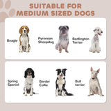 Bac de rangement pour aliments pour animaux Station d'alimentation pour chien avec panneau ajustable