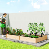 Wooden Raised Garden Bed, Outdoor Planter Box with Divider and Open Bottom for Flowers