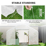 Walk-in Tunnel Greenhouse with Galvanized Steel Frame