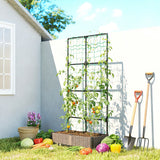 2PC Bac de plantation en plastique avec treillage