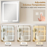 Bathroom Medicine Cabinet with Lights, Adjustable Shelves