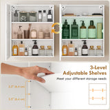 Bathroom Medicine Cabinet with Lights, Adjustable Shelves