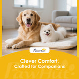 Pet Sofa, Dog Couch Bed for Small Dogs