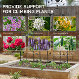 2 Pack Garden Trellis for Climbing Plants, Outdoor Metal Grid Panels with Birds and Leaves, 59