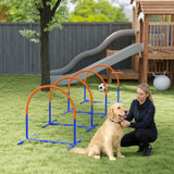 Dog Agility Training Equipment, 4 PCS Obstacle Course with Carrying Bag for Old Dogs