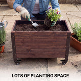 Raised Garden Bed with Wheels & Drainage Holes