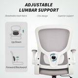 Ergonomic Mesh Office Chair with 4D Lumbar Support, Swivel Desk Chair with Flip-up Armrests, Tilt Function