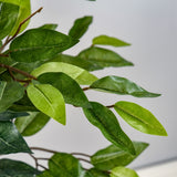 5FT Artificial Ficus Tree