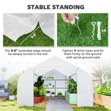 20x10x7ft Walk-in Steeple Greenhouse Outdoor Backyard Plant Seed Growth