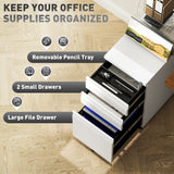 3 Drawer Filing Cabinet with Lock, Steel Office Storage Cabinet with Hanging Bar for A4, Legal, Letter Files