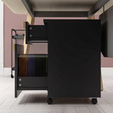 Mobile Filing Cabinet with 2 Drawers, Office Storage Cabinet with 5 Wheels