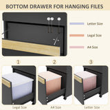 Mobile Filing Cabinet with 2 Drawers, Office Storage Cabinet with 5 Wheels