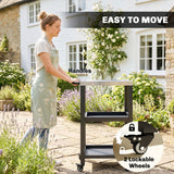 Outdoor Grill Cart with Stainless Steel Tabletop, 2 Shelves, Rolling Prep Dining Cart with Lockable Wheels