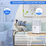1500 sq.Ft Portable Quiet Dehumidifier for Home Laundry Room Bedroom Basement, 25pt Electric Moisture Air De-Humidifier with 3 Modes