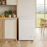 Mini Freezer, 3.5 Cu.Ft Chest Freezer with 5-Setting Adjustable Thermostat