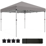 10' x 10' Pop Up Canopy with Sidewalls, Height Adjustable Instant Tent for Outdoor