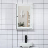 Bathroom Mirror Cabinet, Wall Mounted Medicine Cabinet with Door and Shelves