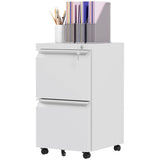Mobile Vertical Filing Cabinet with Lock, 2-Drawer Steel File Cabinet with Adjustable Hanging Bar for Letter, A4 and Legal Size
