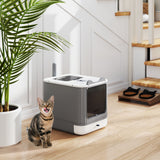 Litter Box with Lid