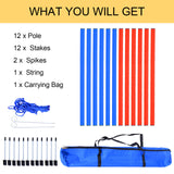 Dog Agility Equipment Set