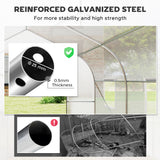 20x10x7ft Walk-in Steeple Greenhouse Outdoor Backyard Plant Seed Growth