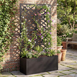 Metal Raised Garden Bed with Trellis for Climbing Plants