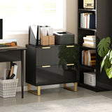 Lateral File Cabinet with 2 Drawers, Modern Filing Cabinet for Letter/A4/Legal Size Files