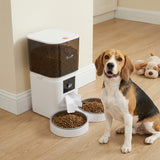 Automatic Cat Feeder for 2 Cats with HD Camera，2.4G & 5G WiFi Pet Food Dispenser 6L APP Control