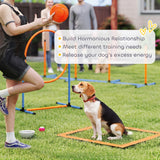 13-Piece Dog Agility Training Equipment Set, Pet Obstacle Course with 2 Tunnels, Adjustable Jumps
