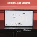 Musical Snow Globe with Lights