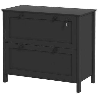2 Drawer File Cabinet, Lockable Filing Cabinet with Adjustable Hanging Bar for Letter, A4