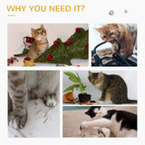 Cat Tree, Small Cat Tower with Perch