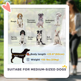 Foldable Pet Stroller for Medium Dogs with Four Big Wheels, Shock-Absorbing Frame