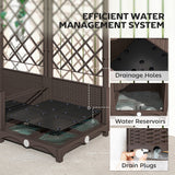 Raised Garden Bed with Trellis