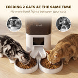 Automatic Cat Feeder for 2 Cats, 2.4G WiFi Pet Food Dispenser 6L APP Control