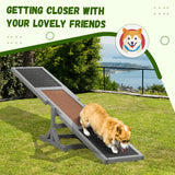 Plateforme bascule pour animaux en bois équipement d'entraînement agilité chien jeu jouet résistant aux intempéries fournitures animaux