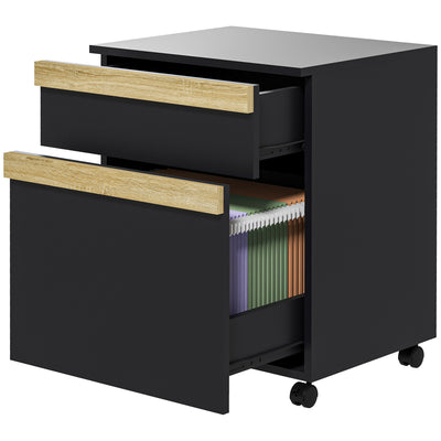 Mobile Filing Cabinet with 2 Drawers, Office Storage Cabinet with 5 Wheels