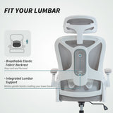 Ergonomic Office Chair, Swivel Desk Chair with Adjustable Lumbar Support, Headrest and Height
