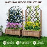Raised Garden Bed with Metal Trellis, Elevated Planter Box with Wheels and Drainage Holes, 20.5