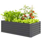 Lit de jardin surélevé 6' x 3' x 2'