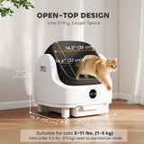 Open-Top Self Cleaning Cat Litter Box