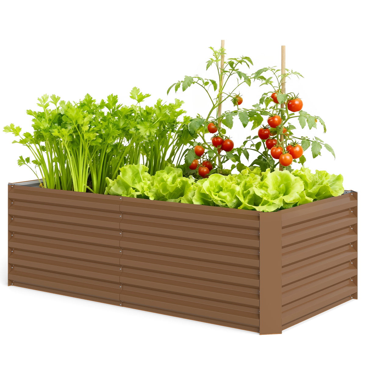 Lit de jardin surélevé 6' x 3' x 2'