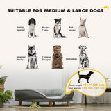 Pet Sofa Bed for Large Dogs with Removable Cushion