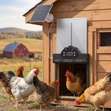2K HD AI Camera Automatic Chicken Coop Door with APP, WiFi Solar Powered with 5200 mAh Large Battery