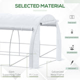 20'x10'x6.6' Tunnel Greenhouse with UV-Resistant Cover, Zippered Door and 12 Roll-up Windows
