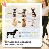Pet Stroller