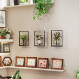 3 Pack Wall Planters for Indoor Plants, Wall-Mounted Metal Plant Stand Shelves, Picture Frame Wall Decor Hanger