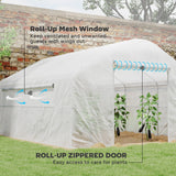 Walk-in Tunnel Greenhouse with Galvanized Steel Frame