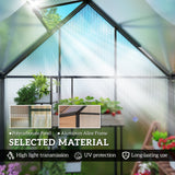 Polycarbonate Greenhouse Walk-in Greenhouse with Swing Door and Adjustable Window, 5.5 x 2ft